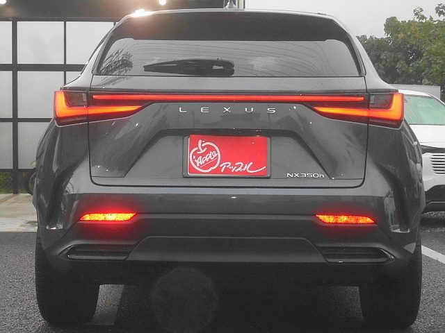 車両画像7