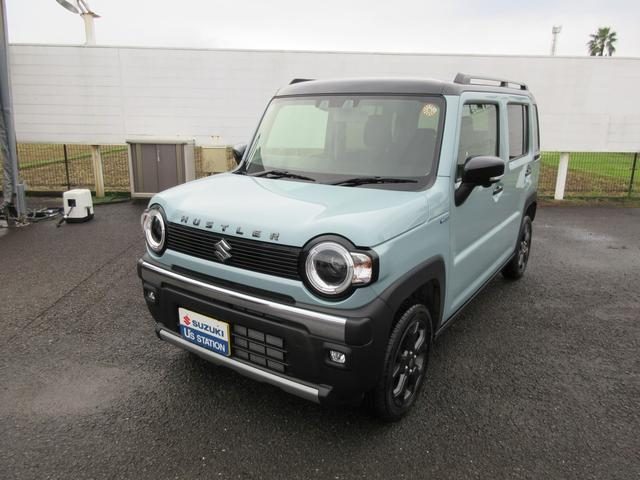 ハスラー　タフワイルド　３型