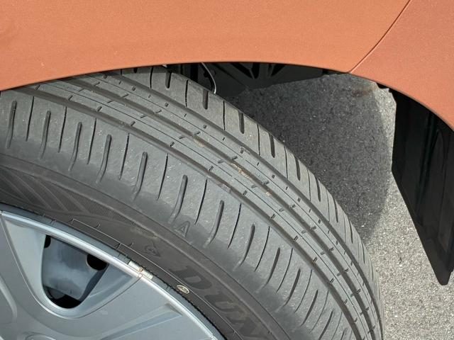 車両画像19