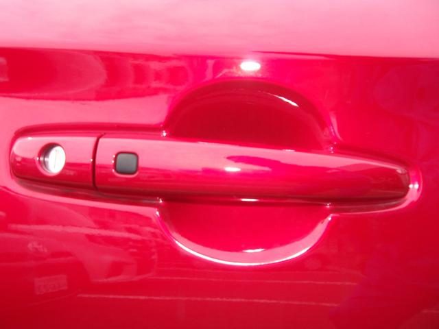 車両画像19