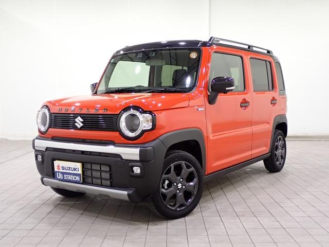 ハスラー　タフワイルドターボ　３型　９インチ全方位