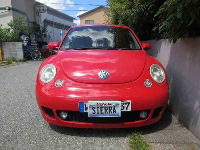 ビートル　サルサ