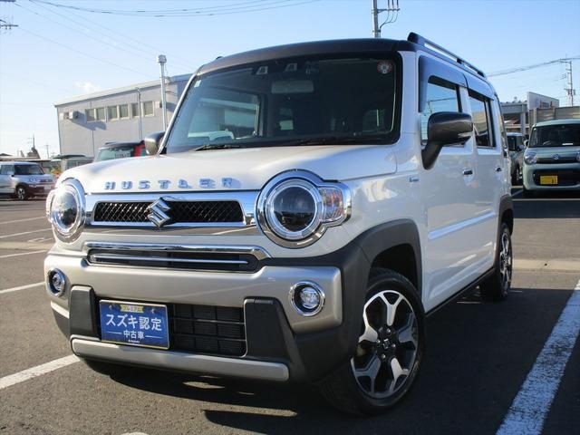 ハスラー　タフワイルド　３型