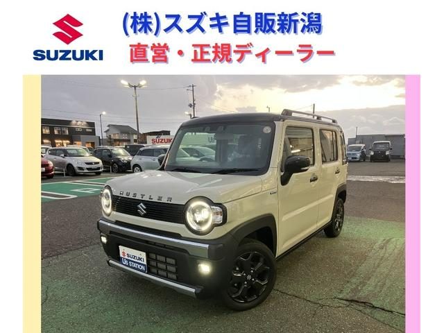 ハスラー　タフワイルド　３型