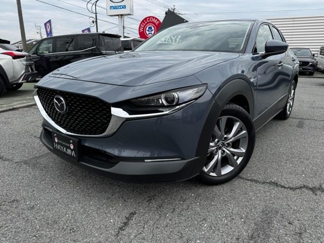 ＣＸ－３０　２．０　２０Ｓ　プロアクティブ　ツーリン