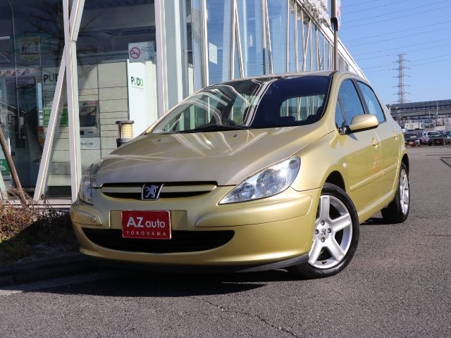 ３０７　ＸＳｉ