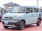 スズキ ハスラー タフワイルド　ＭＲ４１Ｓ　先取りサマーフ