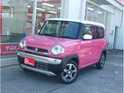 スズキ ハスラー　４ＷＤ Ｘターボ