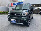 スズキ ハスラー ＨＹＢＲＩＤ　Ｘターボ【内外装現状・動物