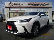 レクサス ＮＸ２５０ バージョンＬ