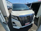 トヨタ アルファードＧ ２．５Ｓ　Ａパッケージ　ビックＸ１０イン
