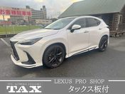 レクサス ＮＸ２５０　ＡＷＤ ２５０　バージョンＬ　４ＷＤ　モデリスタ