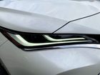 車両画像19