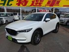 車両画像10