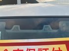 車両画像17