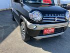車両画像19