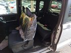 車両画像23