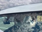 車両画像17