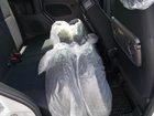 車両画像20