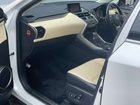 車両画像19