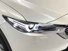 車両画像19