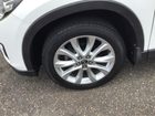 車両画像11