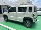 車両画像19