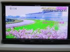 車両画像22