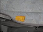 車両画像23