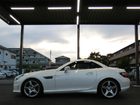車両画像19