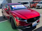 車両画像8
