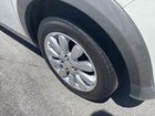 車両画像19