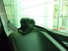 車両画像16