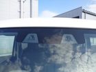 車両画像3