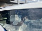 車両画像18