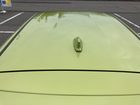 車両画像19