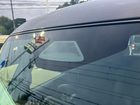 車両画像19