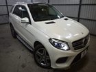 車両画像24