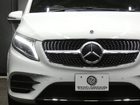 車両画像19