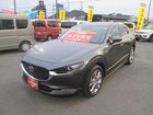 車両画像9
